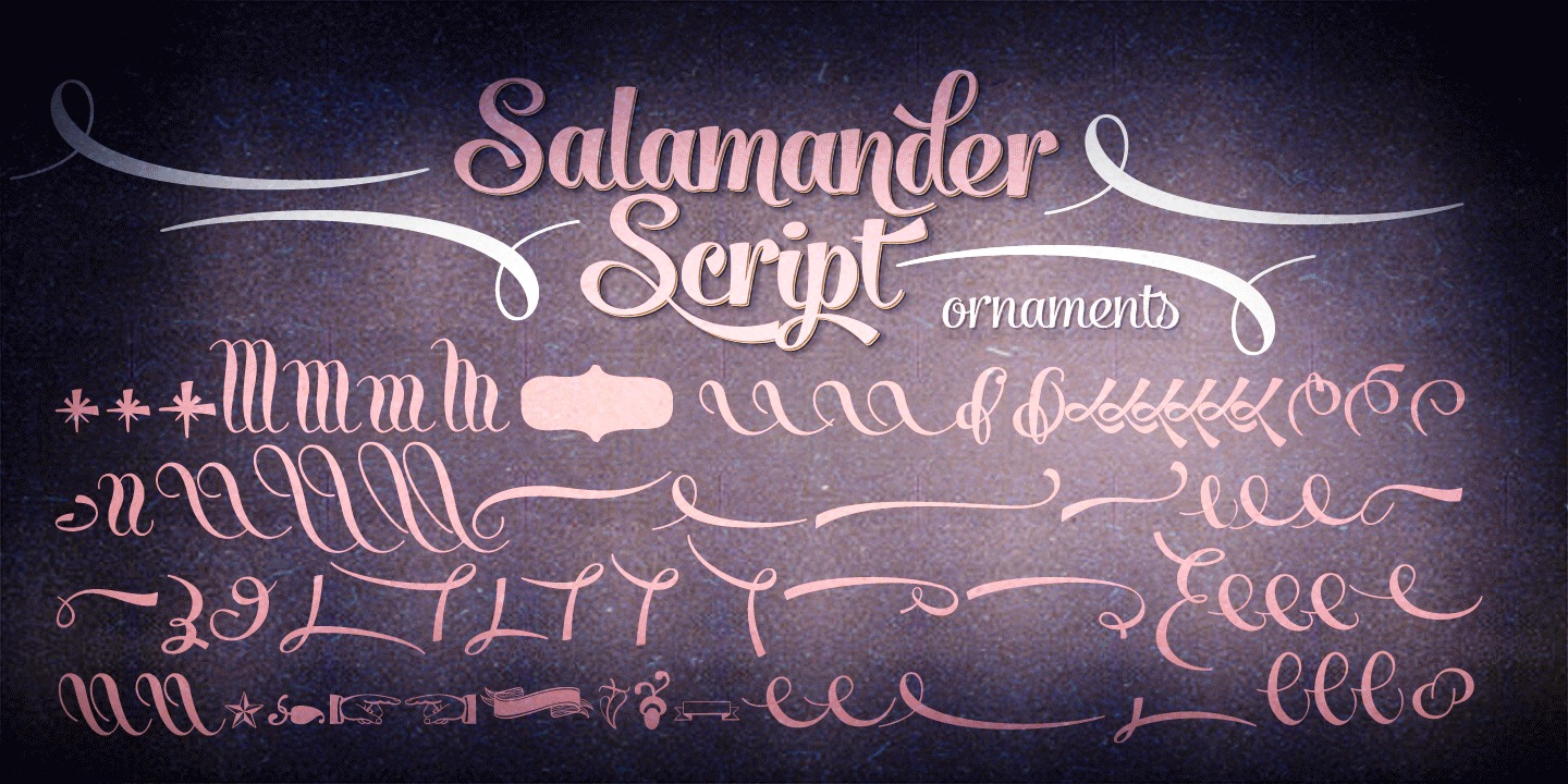 Пример шрифта Salamander Script Bold